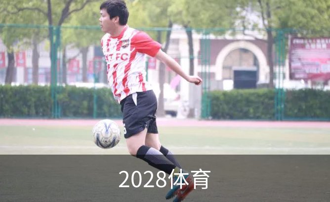 2028体育概况